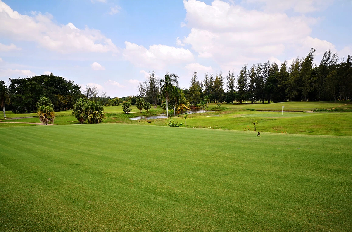 Golf Club