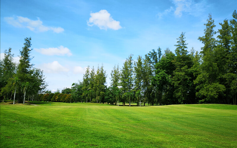 Course View 1