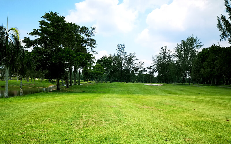 Course View 3